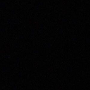 Meet your Posher, Leo